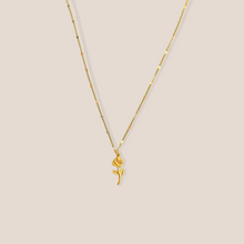 Load image into Gallery viewer, Ketting Rose zilver

